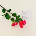 Ramo di camelia artificiale con vivaci fiori rosso rosa e foglie verdi per decorazione - Rosa Rosso