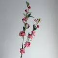 Künstliche Kamelienzweige mit dunkelrosa und hellrosa Seidenblüten und grünen Knospen - Verlauf Rosa