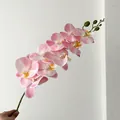 Pink and white gradient phalaenopsis orchid branch with realistic petals and green buds - Light Pink