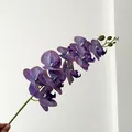 Single purple gradient butterfly orchid stem with realistic petal texture and green buds - Smoky Purple