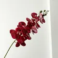 Elegant artificial wine red orchid branch with detailed petals for home decor - Red