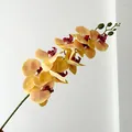 Artificial orange Phalaenopsis orchid branch with deep red center for home decor - Yellow