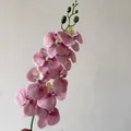 Single pink orchid branch with realistic petals and green buds for home decor - Dusty Pink