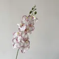 Artificial white orchid branch with purple veins and yellow center for home decor - Purple Edged