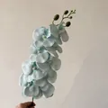 Single long-stem light blue gradient artificial Phalaenopsis orchid with buds - Mint Green