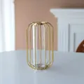 Moderne goldene Metalldraht-Vase mit Glaseinsatz für stilvolle Heimdekoration - Goldene Laternenvase