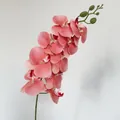 Single stem of coral pink artificial Phalaenopsis orchid with realistic silk texture - Amber