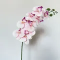 Pink and white gradient artificial orchid branch with detailed deep purple center - White Purple