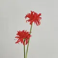 Artificial red Lycoris radiata flowers with long green stems for wedding decor - Red