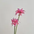 Pink and blue gradient Lycoris Radiata artificial flower with two flower heads - Rose Purple