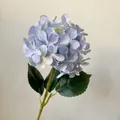Stelo singolo di ortensia blu chiaro realistica con foglie verdi per decorazione - Azzurro