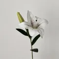 Einzelner weißer 3D künstlicher Lilienzweig mit lila gepunkteten Blüten und grüner Knospe - Weiß