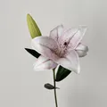 Künstliche 3D Lilie mit rosa Farbverlauf und grünen Knospen auf weißem Hintergrund - Lila Weiß