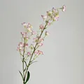 Maiglöckchen-Zweig mit rosa-weißen Blüten und grünen Blättern für die Dekoration - Hellorchidee