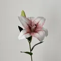 Naturgetreue 2-Kopf Seidenlilie in Weiß mit rosa Punkten und grünem Blütenansatz - Rosa & Weiß