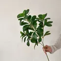 Artificial Ming Aralia branch with dense dark green foliage for home decoration - Green