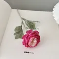 Single stem faux pink Persian Buttercup flower with frosted leaves for home decor - Rose Red