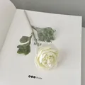 Single white silk Ranunculus flower with fuzzy stem on a minimalist open book - White