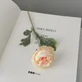 Pink orange artificial Persian buttercup flower with green leaves on book - Champagne