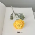 Single stem yellow artificial Persian buttercup flower on a white book decor - Yellow