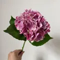 Pink and purple 3D touch hydrangea artificial flower stem with green leaves held by hand - Dusty Pink