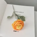 Single yellow Ranunculus artificial flower with gradient petals on white book page - Orange