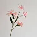 Kunstmatige roze renanthera orchidee met vijf levensechte bloemhoofden voor decoratie - Lichtroze