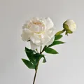 Tige de pivoine blanche artificielle avec une fleur épanouie et un bourgeon pour déco - Blanc