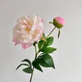 Branche de pivoine artificielle avec dégradé blanc-rose pour décors floraux - Rose Dégradé