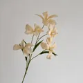 Crèmewitte kunstmatige orchideetak met vijf bloemhoofden voor interieurdecoratie - Champagne