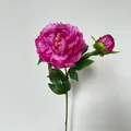 Pivoine artificielle en soie magenta avec une grande fleur et un petit bouton - Rose rouge
