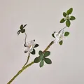 Branche d'azalée blanche artificielle avec tige en mousse souple pour décoration - Blanc