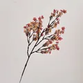 Pink and orange silk artificial gypsophila flower branch for home decoration - Brown