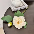 Branche de pivoine artificielle blanche crème avec feuilles et boutons floraux - Blanc