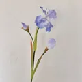 Single stem of lifelike blue iris artificial flower with gradient petals and buds - Light Blue