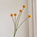 Minimalistisch goudbal Craspedia boeket met 5 koppen voor modern interieurontwerp - 5 Koppen / Oranje