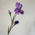Branche d'iris artificiel violet avec pétales dégradés pour décoration d'intérieur - Violet