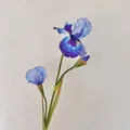 Iris artificiel tige unique avec dégradé bleu-violet et boutons de fleurs réalistes - Bleu clair