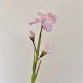 Iris artificiel rose-violet avec fleur épanouie et boutons, style peinture à l'huile - Rose