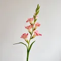 Artificial pink gradient gladiolus flower branch with realistic buds for home decoration - Pink White Gradient