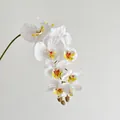 Elegant white artificial moth orchid branch with realistic petals and purple accents - White