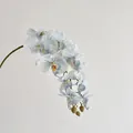 Artificial Phalaenopsis orchid with white petals and purple stripes in variant style - Light Blue