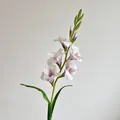 Fiore di gladiolo artificiale bianco e viola con steli in gomma morbida realistica - Viola Taro