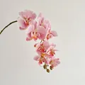 Lifelike pink Phalaenopsis orchid spray with 9 realistic orchid heads and buds - Pink