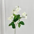 Enkele tak realistische witte jasmijnbloemen met donkergroene bladeren voor decoratie - Wit