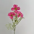 Künstliche rosa Kosmeen mit drei Blütenköpfen und gefiederten grünen Blättern im Set - Rosenrot