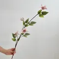 Branche de clématite artificielle 3D avec pétales rose pâle et étamines violettes - Rose d'Automne