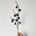 Rama de ciruelo artificial negro de 55 cm con estambres amarillos realistas - Mini Flor de Invierno Negro