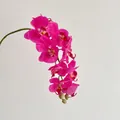 Realistic deep pink phalaenopsis orchid silk flower branch with buds for home decor - Rose Red