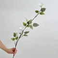 Einzelner 3D-gedruckter weißer Waldrebenzweig mit realistischen Blüten und Blättern - Weiß